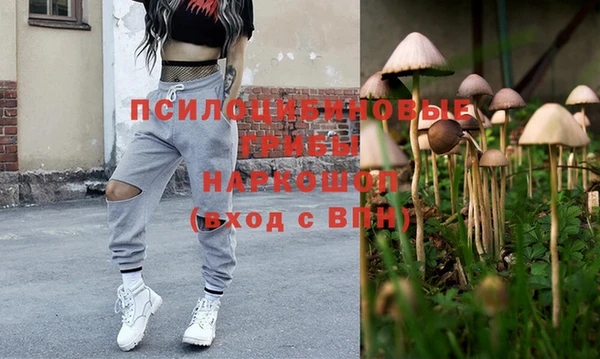 прущие крисы Алзамай