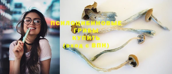 мескалин Алексин