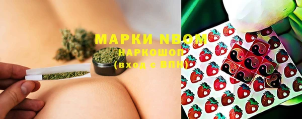 прущие крисы Алзамай